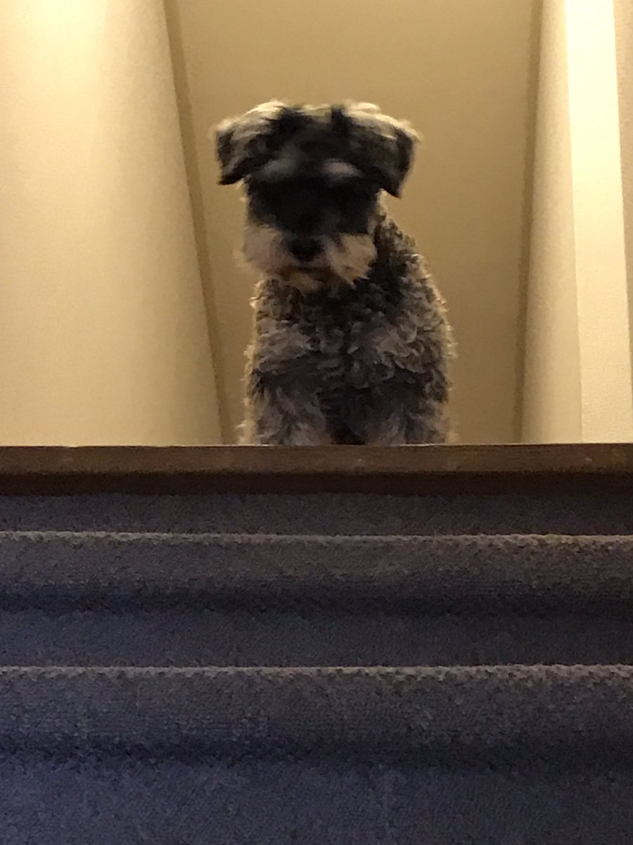 texture_hiro's tweet image. 何？