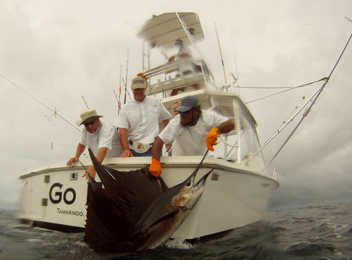 FlyandFishCR's tweet photo. 1/13 Capt Randall on the "Go Fish" released 2-5 #sailfish #GoFish #FishforJose https://t.co/ve8X6We7gl