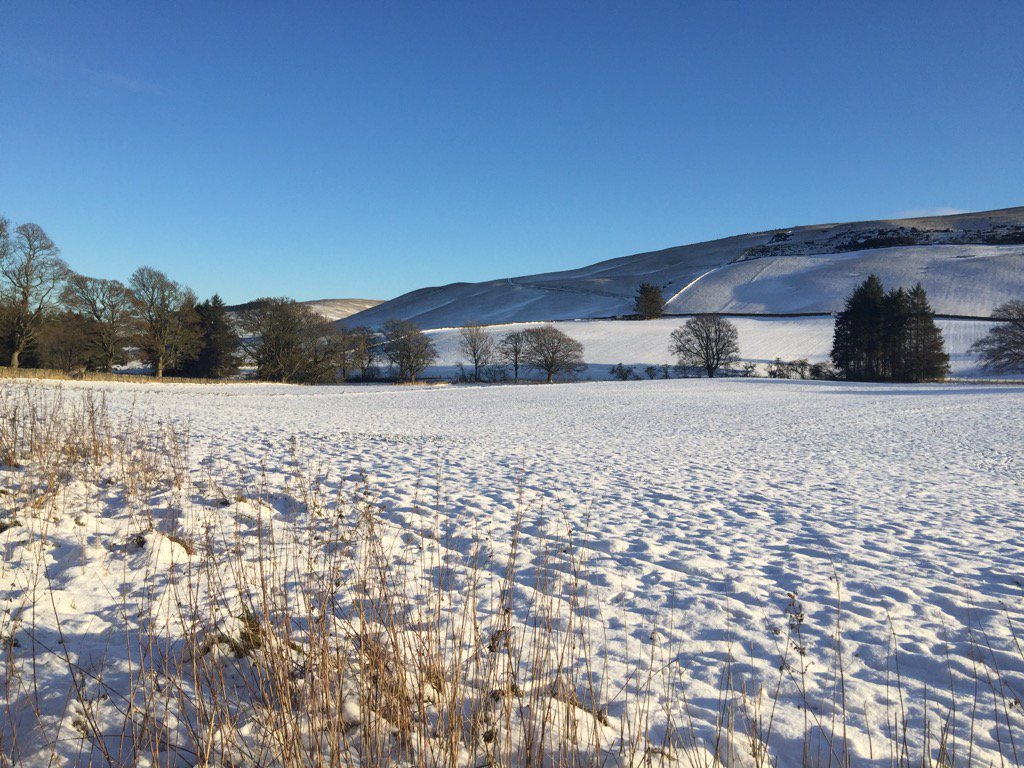 HowfordFarm's tweet photo. Big blue sky at Howford today. No filter https://t.co/GOXIDwpQh9