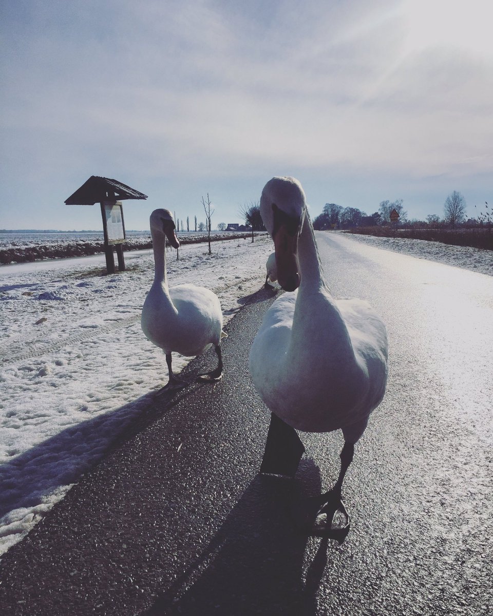 mornarka's tweet photo. Ovo je bio dobar dan... #go2baranja https://t.co/O24WBeyQE0