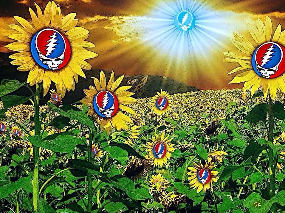 Good morning Deadheads!

Once in a while
you can get
shown the light
in the strangest
of places
if you look at it right

Have a grateful day