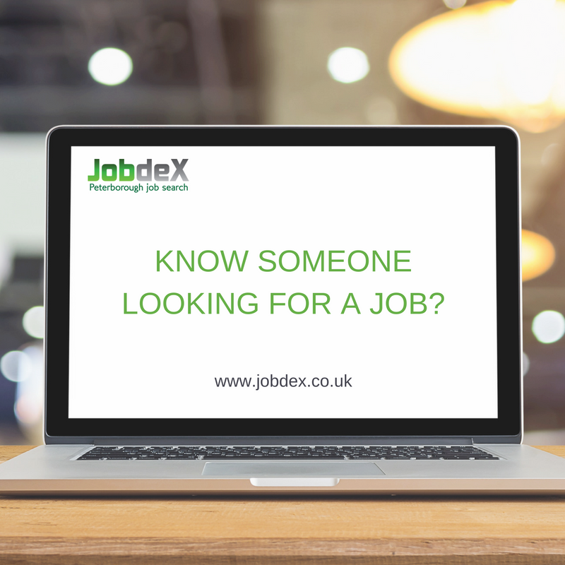 jobdex's tweet photo. Do you know someone looking for a job? Tag them in this post as we can help at #Jobdex! https://t.co/VVZ4dx1yuc