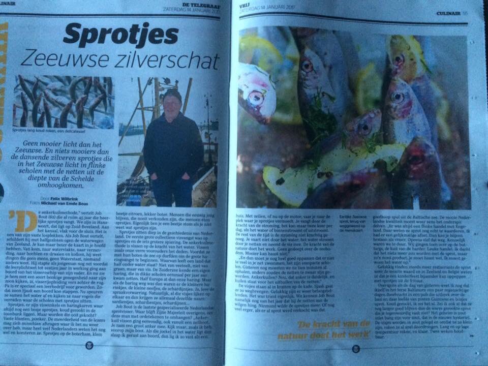 Zeeuws zilver:prachtig verhaal over <a href="/visserijbout/">visserijbout</a> #sprot uit de Zeeuwse wateren in <a href="/telegraaf/">De Telegraaf</a>   #Trots erkend @Zeker_Zeeuws streekproduct