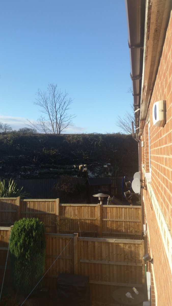 MarkSpark69's tweet photo. @networkrail #treekillers Whatever happened to consultation with the community just like #treesgone Sad Day in #methley @SheffTreeAction https://t.co/QH7DuyKI1Q