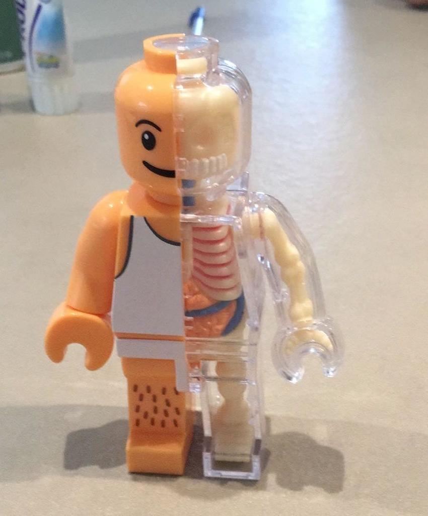 ndccharity's tweet photo. This #Lego Skeleton is pretty adorable #DeathArtRT @LEGO_Group https://t.co/UxgyttYQeU
