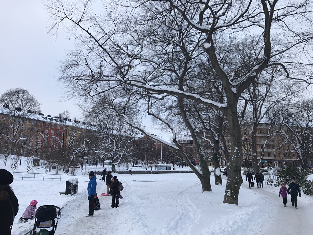 treeoftheweek's tweet image. St. Eriksplan stockholm