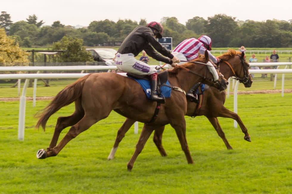 DJ_Coaches's tweet photo. Hire a minibus and get all your friends together for a fun day at the races https://t.co/7f5SKIJtI7