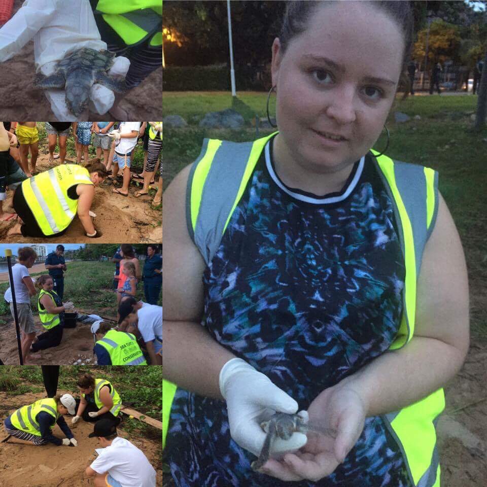 rdenn1110's tweet image. #SeaTurtleFoundation volunteering - #Flatbackturtle nest excavation 1 alive in nest, 39 hatched eggs, 2 undeveloped, and 1 unhatched.