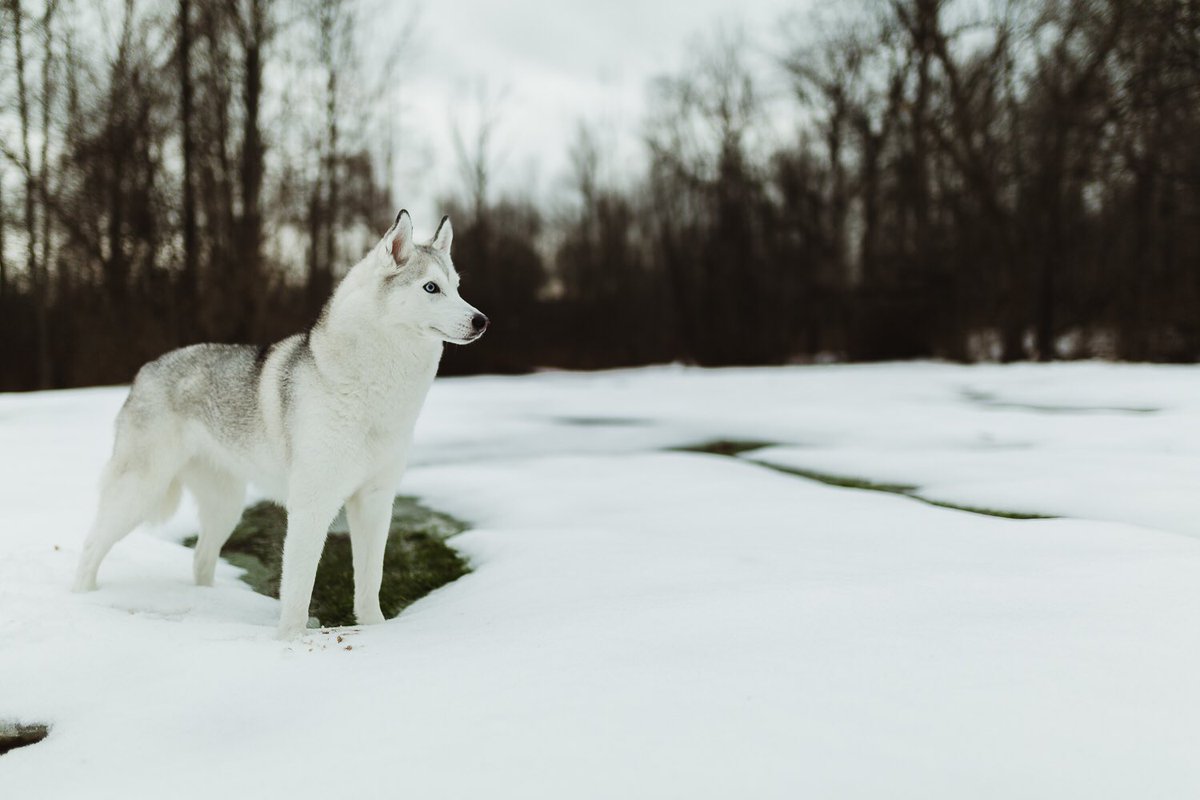 My little bean. 💛