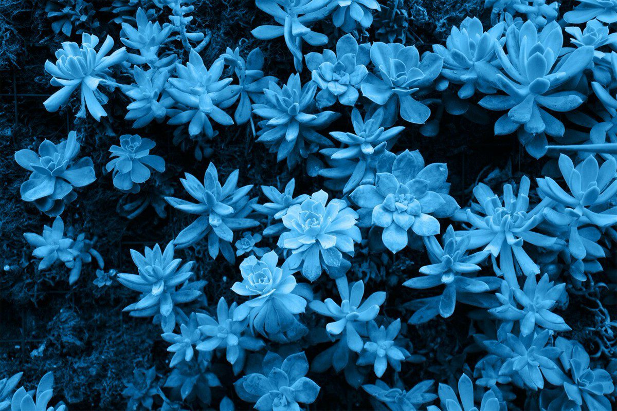 blackbluebubble's tweet photo. Blue is art💙. https://t.co/j96hBpgUxQ