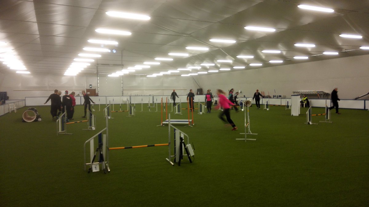 hilputin's tweet photo. Mini- ja medi2 -luokkien hyppyradan tutustuminen on käynnissä. @jauagility #tammikisat https://t.co/HHz4hJHVky