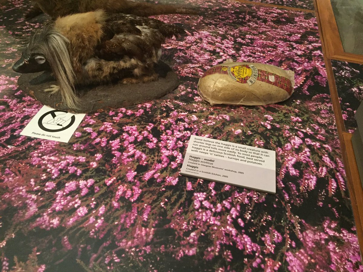 Here a real haggis #unusual #ThisIsBelonging #WolfsChallenge <a href="/CombatRecce/">Combat Recce</a>