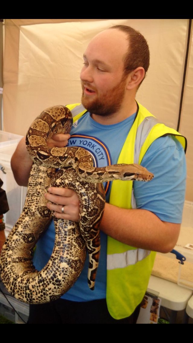 SamPitwell's tweet photo. @SnakeBytesTV hi mate hope ur ok take a look at these big boys https://t.co/gRaRJOEAb4