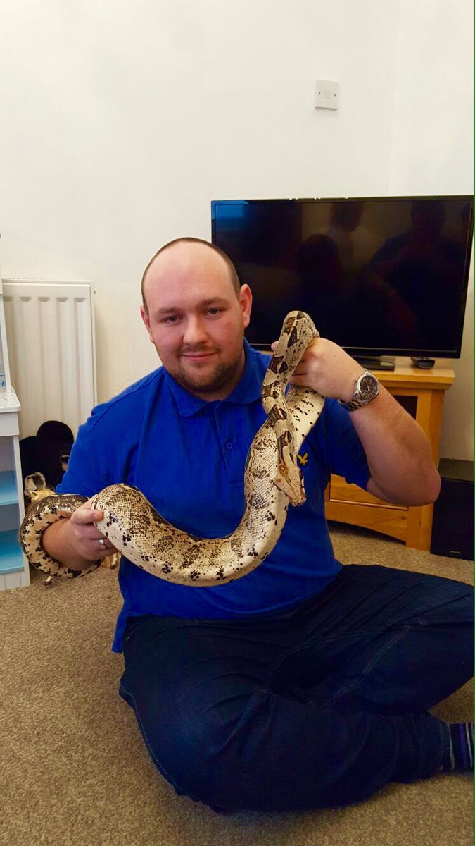 SamPitwell's tweet photo. @SnakeBytesTV hi mate hope ur ok take a look at these big boys https://t.co/gRaRJOEAb4