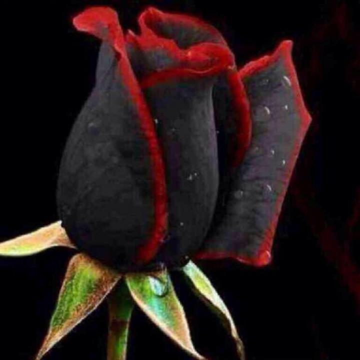 Ali59Eng's tweet image. Come hangout with me on #BIGOLIVE. web.live.bigo.sg/2152000671_148…