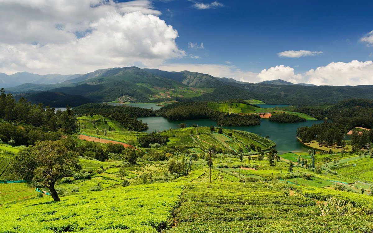 IndiaDiscover's tweet photo. One Stop Destination for Nature Lovers - https://t.co/XqB7qPKHRu #ooty #ootyResort #ootyHoneymoonpackage #OotyTrip #triptoOOty #OotyHotels https://t.co/DX8MVrlyVp