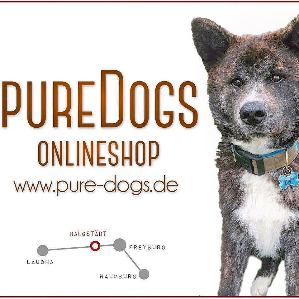 Dog_Tap's tweet photo. Get your DOGTAP at PURE DOGS
#dogtap #shop #puredogs #dog_tap https://t.co/QmgU77OS24 https://t.co/2PA7bUjDm4