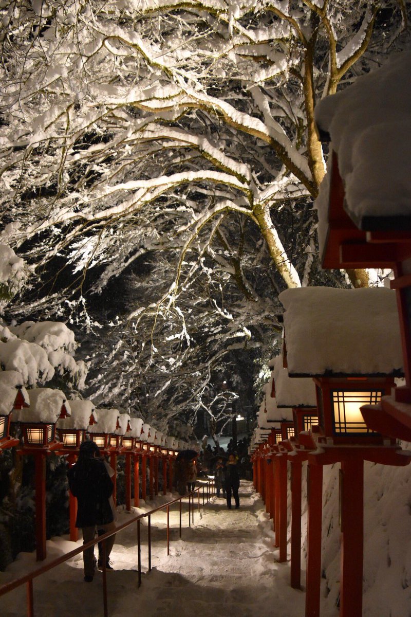 「kyoto snow twitter」の画像検索結果