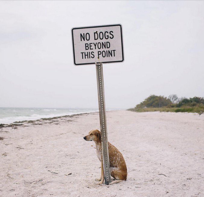 Retlouping's tweet photo. Remember sometimes life is about breaking the rules to get to a new place and understanding. https://t.co/6zDP0ucYe3