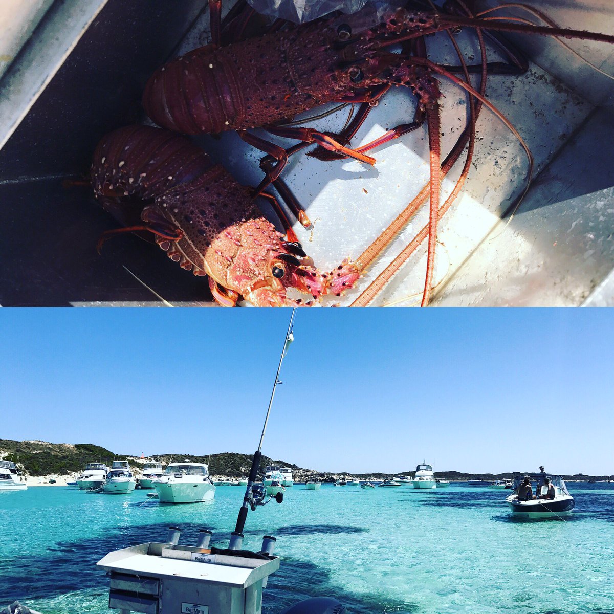JackBobridge's tweet photo. Perfect day over roto on the boat diving 👌 https://t.co/0VSX0lFYl4