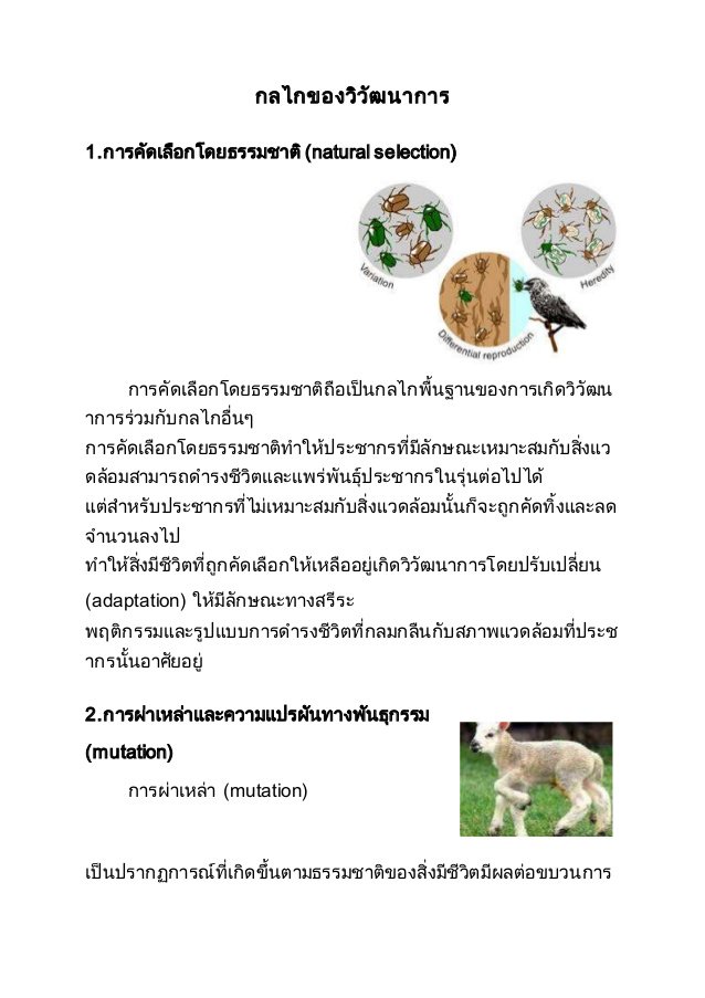 apinanth tweet picture