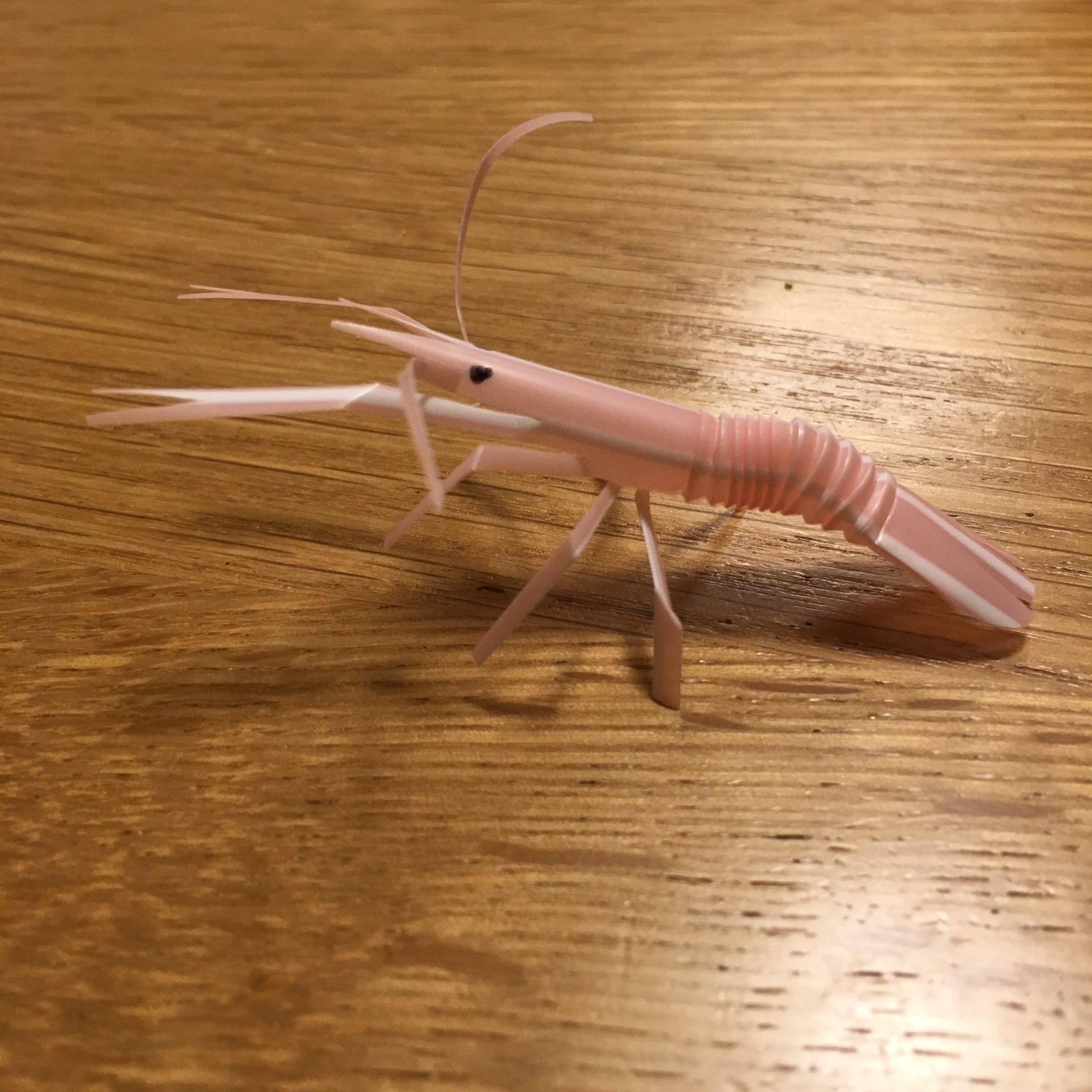 しおやてるこ ストローエビはストロー切ってそれっぽく折り曲げただけ 横から見たときが一番エビ感あるかしら エビ っていうかザリガニぽいかも もっと上手く切ればハサミ立派にできそう もっとすげえリアルなストローエビ作ってる人いるよね 作り方ググ