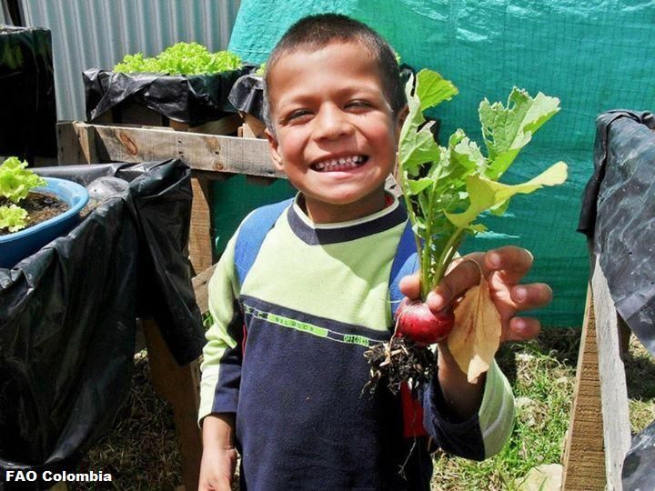 FAOKnowledge's tweet image. Eliminating #hunger is a fundamental prerequisite for building a world that only knows peace. #FAO4Peace #zerohunger