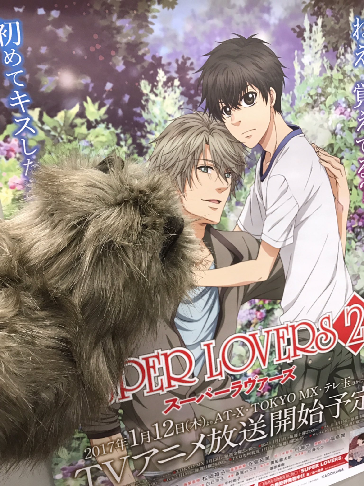 Super Lovers 公式 Twitter वर Super Lovers 2 Bs11初回放送はは本日27 00 スタート 第1話 In The Pink あらすじはこちらからご覧ください T Co Oxtnlholcv スパラヴァ Super Lovers 公式 Twitter वर Super Lovers 2 Bs11初回放送はは本日27 00 スタート 第1話 In The Pink あらすじはこちらからご覧ください T Co Oxtnlholcv スパラヴァ