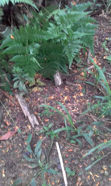 Markus Bui (@markus_bui) on Twitter photo 