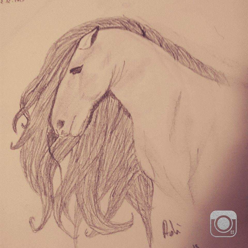 #draw #drawing #art #horse #artwork #Twitter #sketch #Sketching