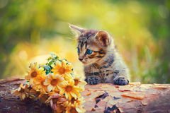 Mikesu1's tweet photo. @dct_ihjc Yes https://t.co/A6Lo9xzc8c