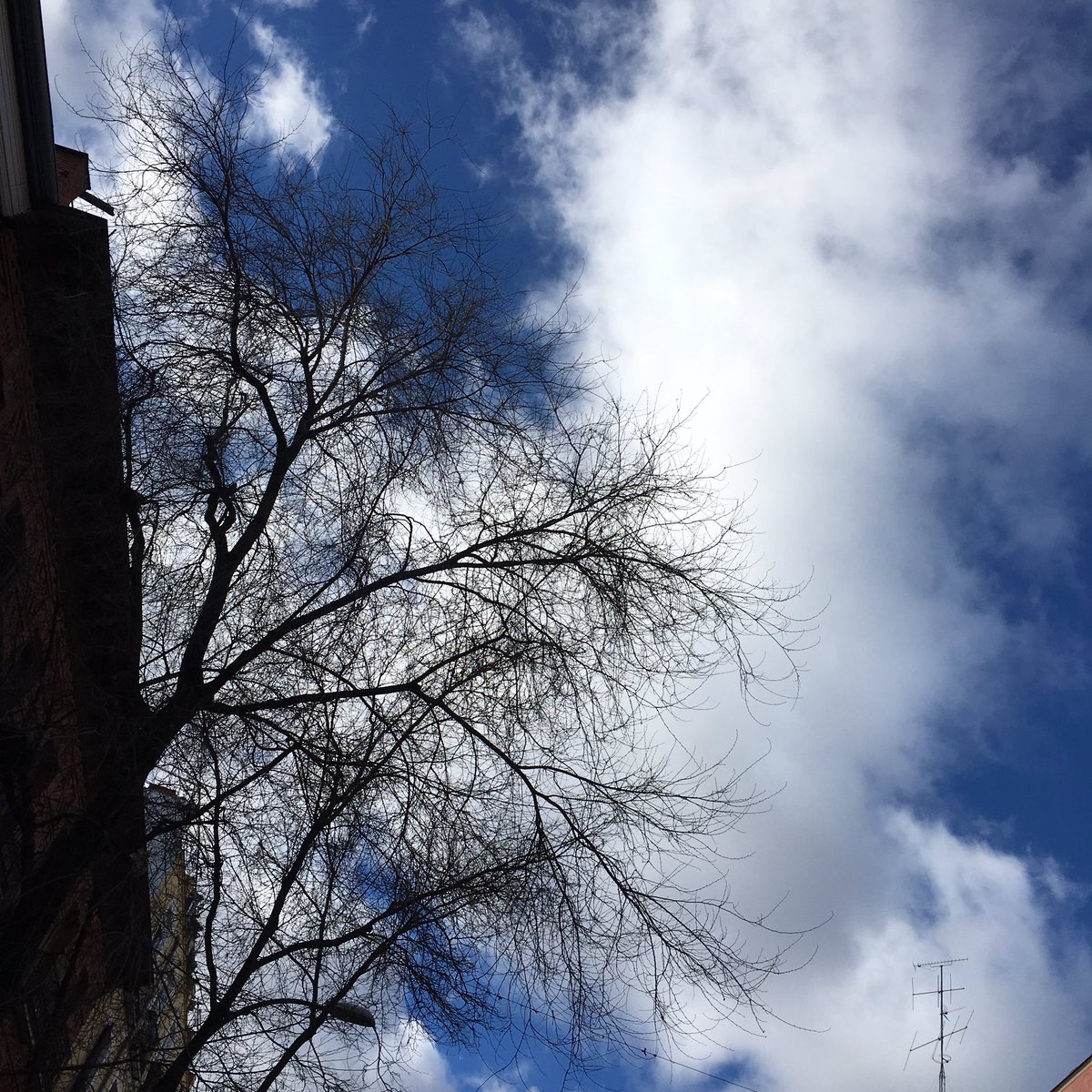 Desde Lavapies en MAdrid, esta azuloso y frío. Pronto los tiempos cambiaran. 2017