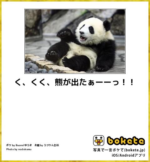 おもしろ動物画像 Funnyanimal8 Twitter おもしろ動物画像 Funnyanimal8 Twitter
