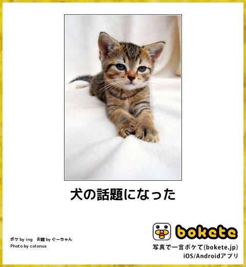 おもしろ動物画像 Funnyanimal8 Twitter おもしろ動物画像 Funnyanimal8 Twitter