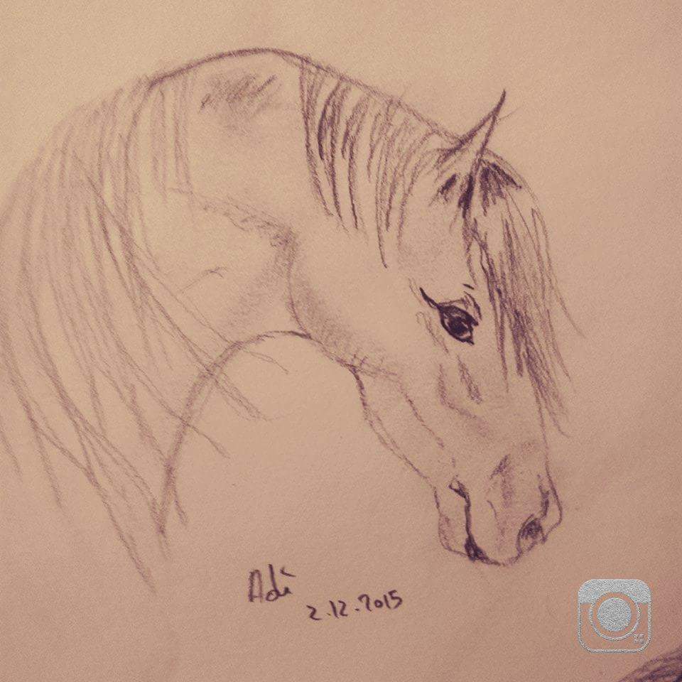 #draw #drawing #art #artwork #artist #sketch #Sketching #horse