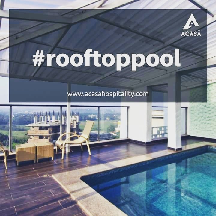 AcasaGoaStays's tweet photo. There's no party like a roof top pool party!! Book the party villa today. #goa #pool #poolparty #partylife #birthdays #beachlife #acasa https://t.co/8PcbJ5bOgH