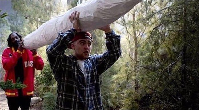 OCannabiz's tweet photo. What I mean when I say "let's smoke" https://t.co/X9eUSTnSFh