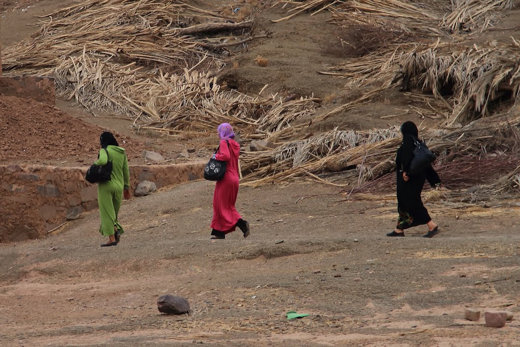 Taliouine, près d'Agdz, on y cultive aussi, un peu, le safran ... ©Maurizio Sedda