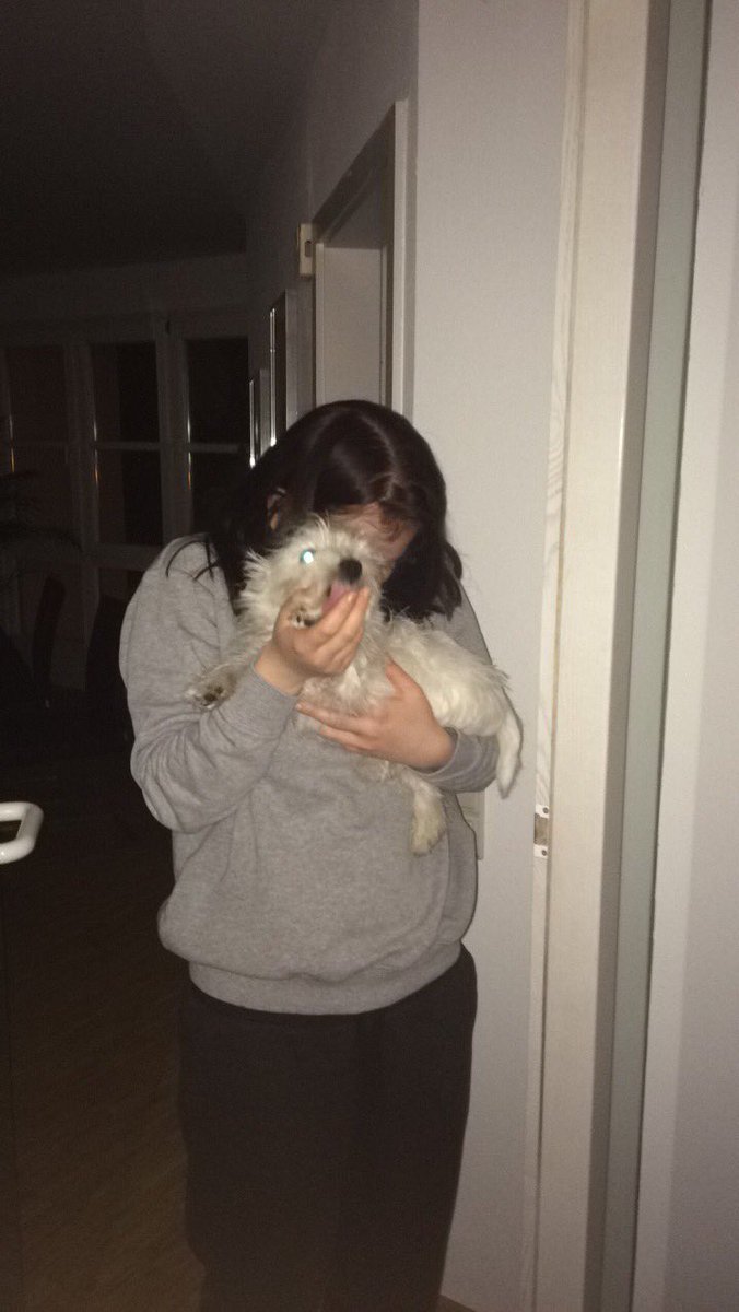 MY DOG LOOKS LIKE A DEMON