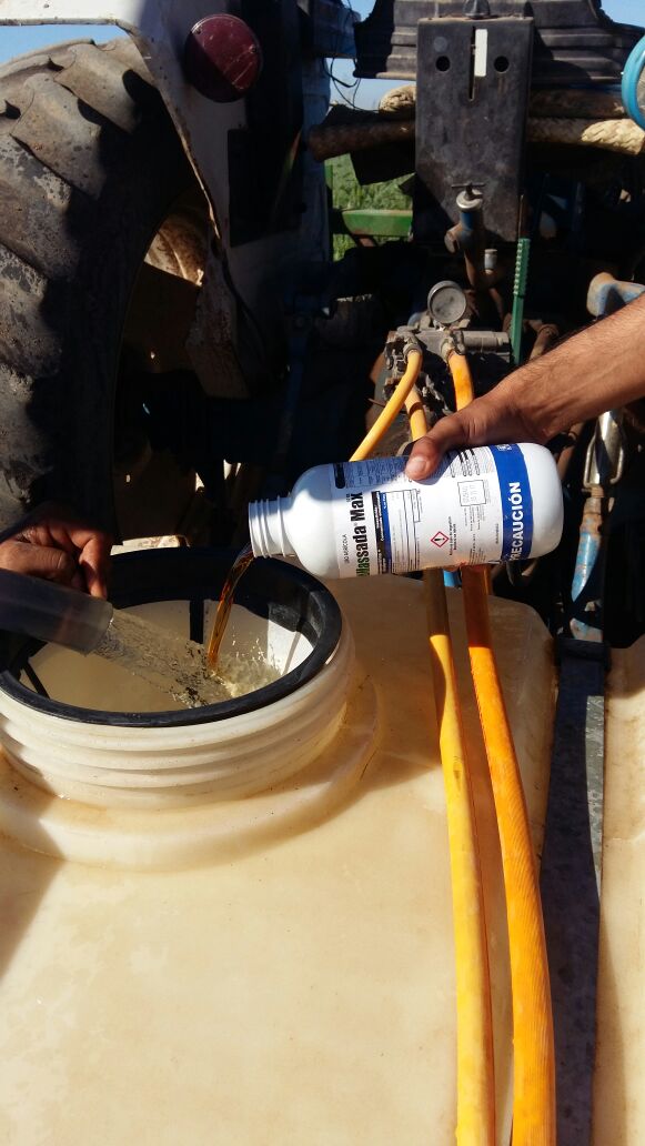 agromarqz's tweet photo. Aplicación de #MassadaMax de los amigos de @agroquimicaFMC en #Cultivos de #Maiz y #Garbanzo en el Norte de #Sinaloa. #CampoMexicano https://t.co/5mfxcYWrhv