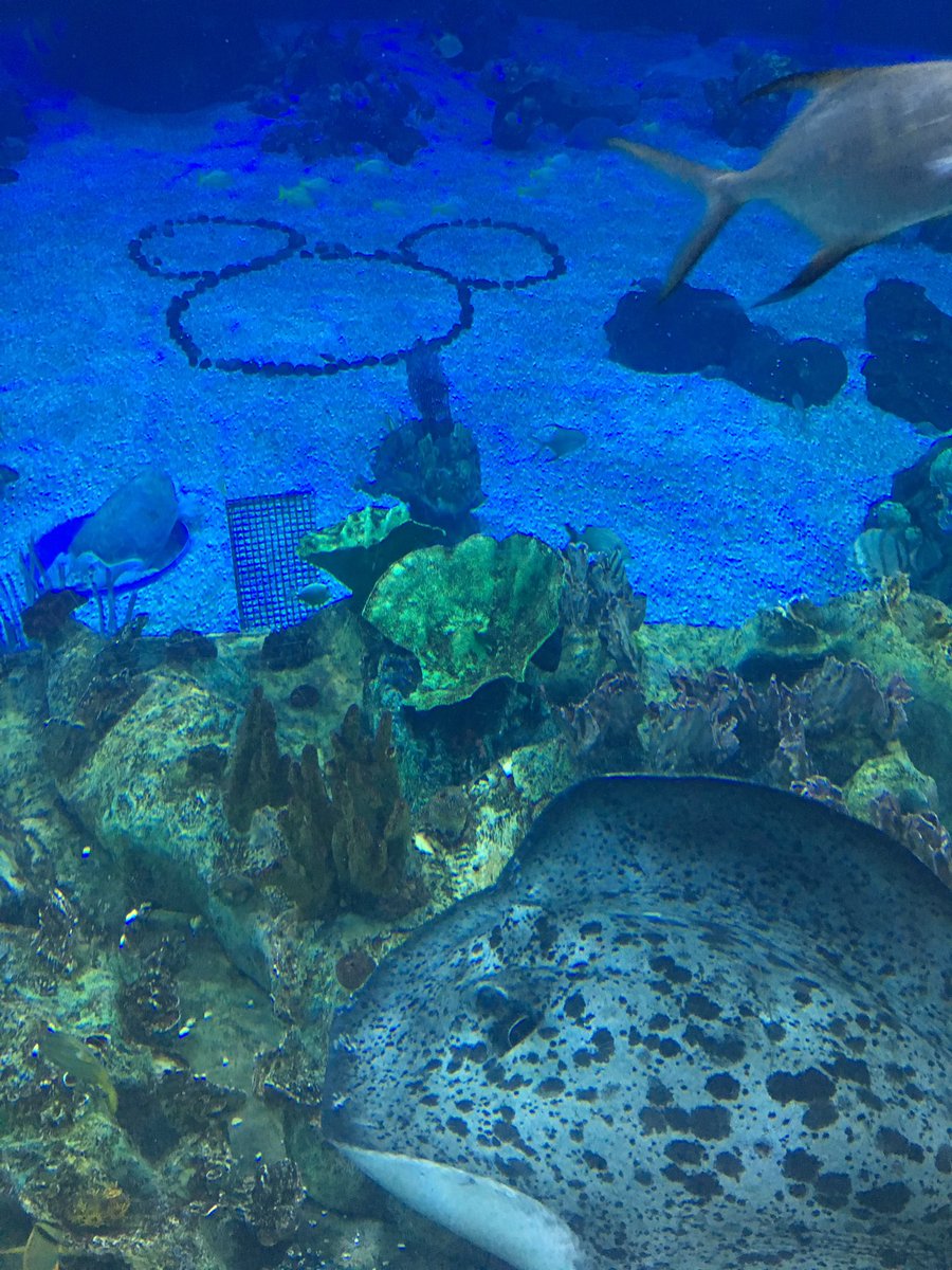 ButlerChristi's tweet image. We are loving spending time to celebrate our 20th this weekend!