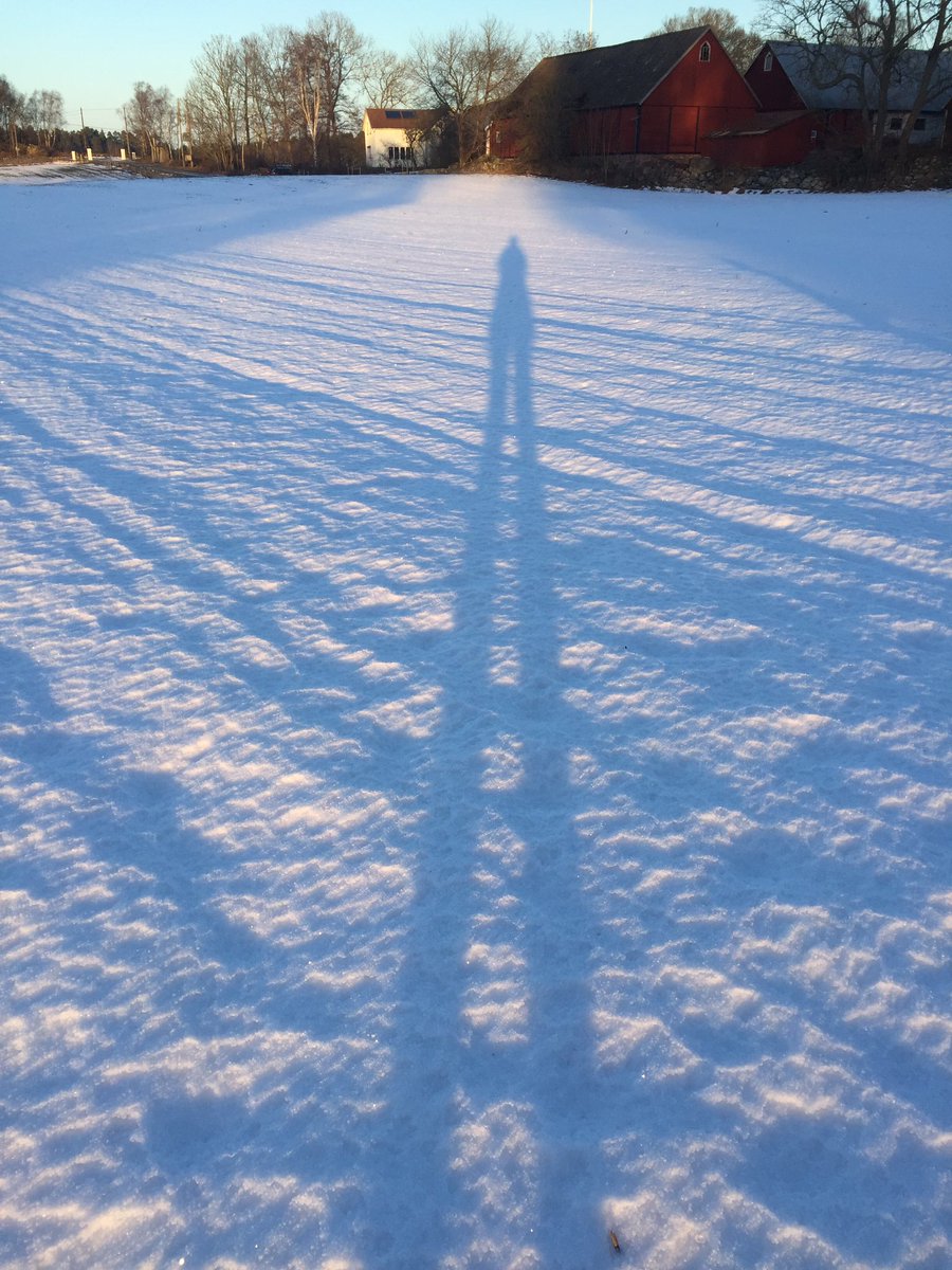 I have very long legs