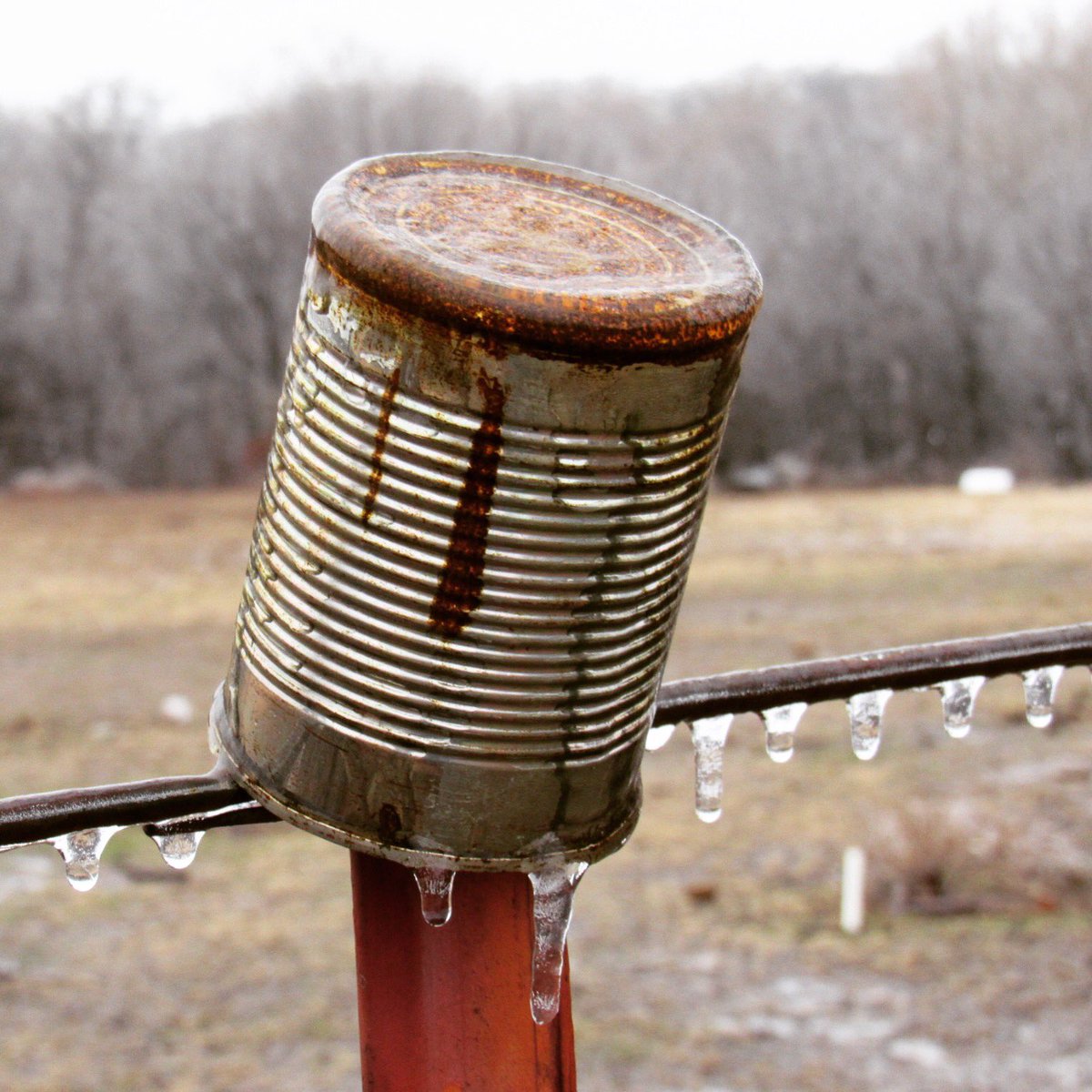 #oklahoma #icestorm2017