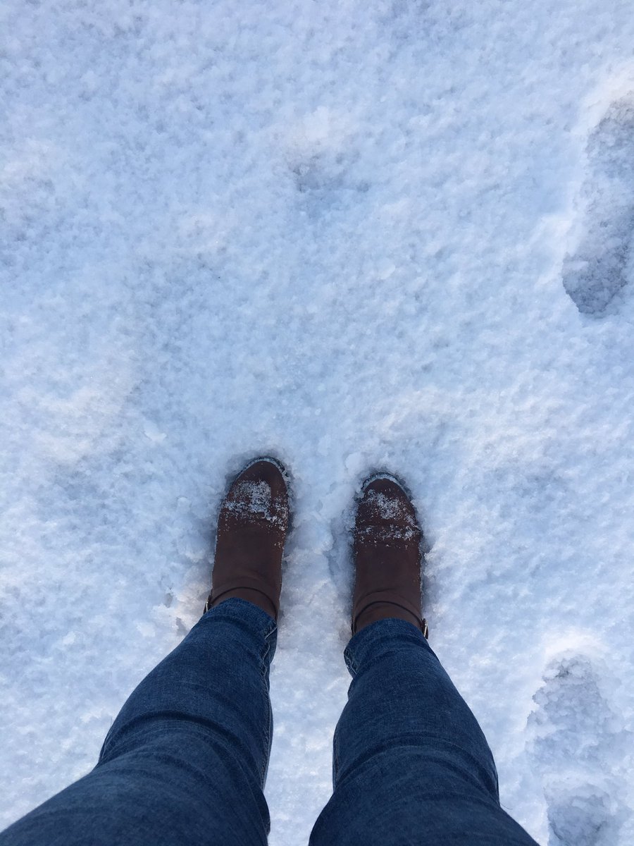 MacIntoshDonna's tweet photo. Snowy day. #chilly #sledging ❄️ https://t.co/NTzHHOfJWU