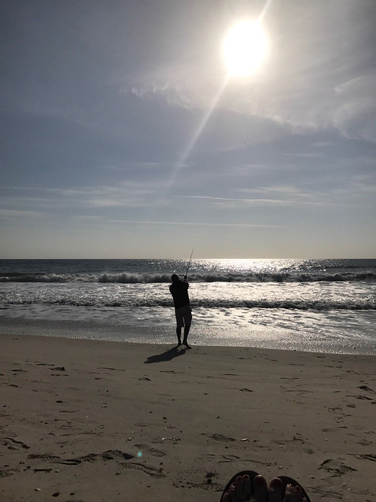 adele_abreu's tweet photo. #beachlife https://t.co/OhRQnJ2vN4