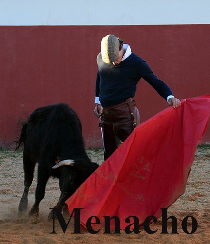 La torería de Curro Díaz en #Valdefresno <a href="/CurroDiazOf/">Curro Díaz</a> <a href="/prensacurrodiaz/">Curro Díaz</a> 
objetivoeltoro.blogspot.com.es/2017/01/la-tor…