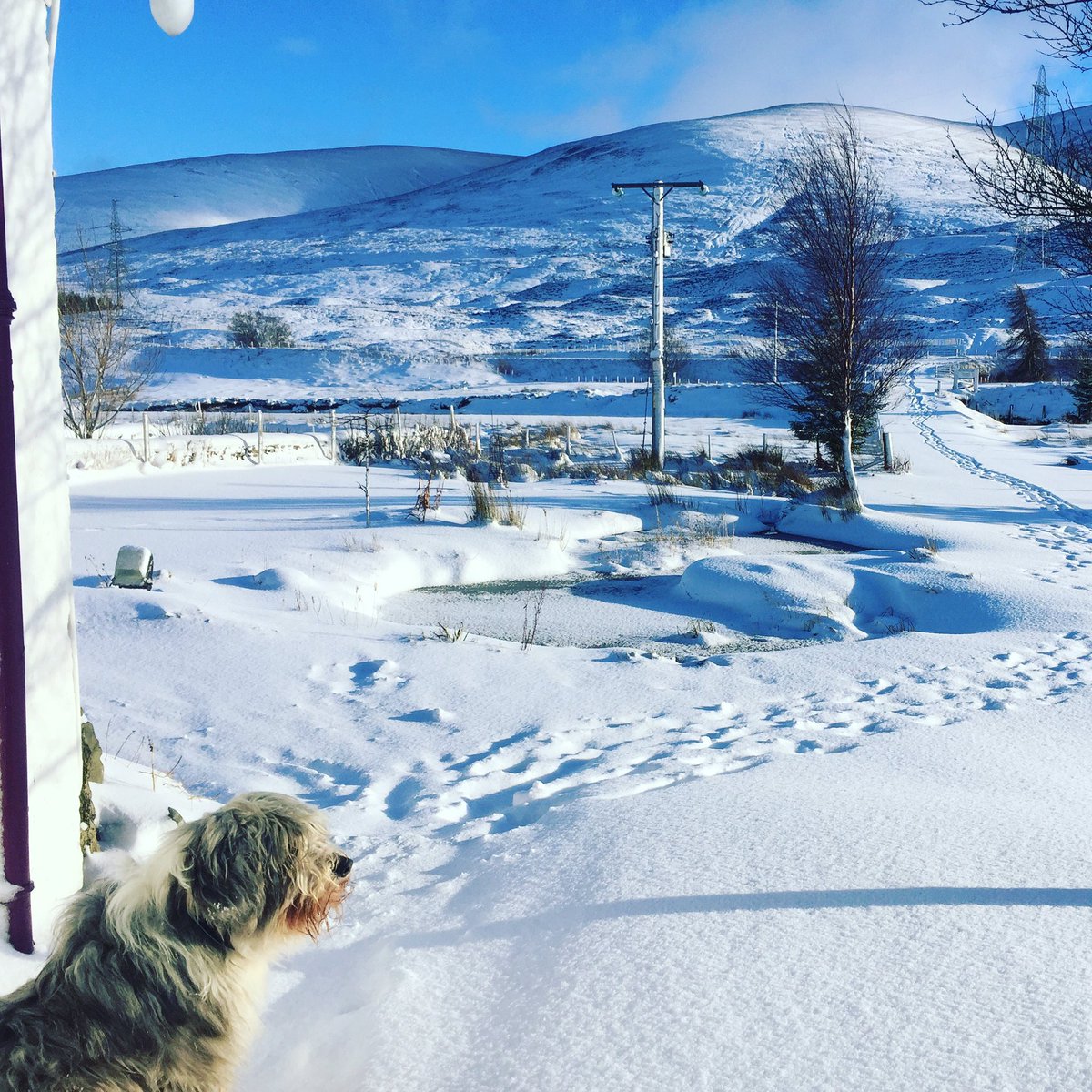 Breakfast with a view #snow #visitscotland #january #munrowalking #bedandbreakfast #openingsoon  #cairngorms #highlands #dalwhinnie #scenic
