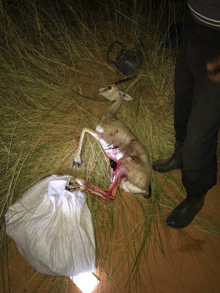 فعلك يذكر بين ربع وقرايب

واهل الولع من زين فعلك مداهيش