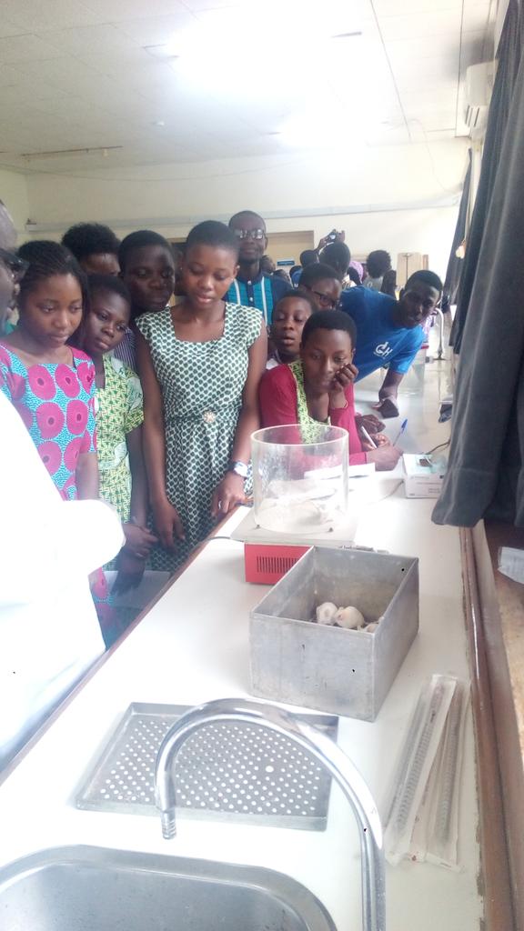 Tom_DAT's tweet photo. Hotplate test for analgesic, these girls have lots of questions #neurogirl camp https://t.co/ickN1S1QvD