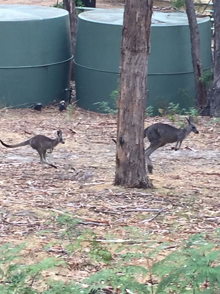 AllisonBKnouse's tweet photo. Can't believe it's already been a year since I was spending a month studying abroad in beautiful Australia 🐨 https://t.co/hUon9NBcxB